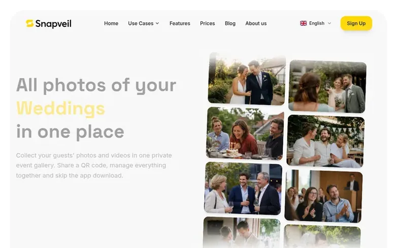 Screenshot of the Snapveil homepage